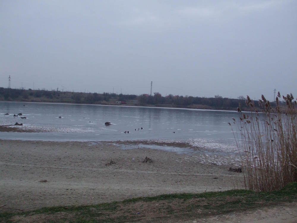 TANCABESTI SECAT - DSCF3480.jpg